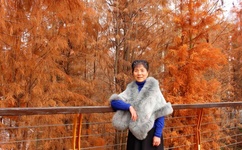 女神漫画APP免费版